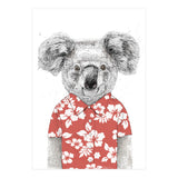 Summer Koala  (Print Only) thumbnail