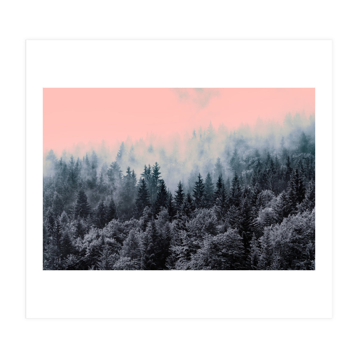 Forest in gray and pink  (Print Only)