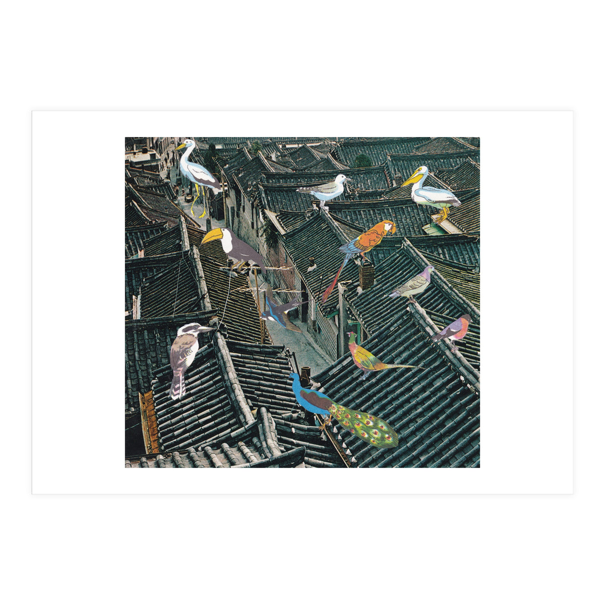 Bird Town (Print Only)