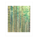 Locked In The Woods (Print Only) thumbnail