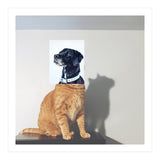 Domestic Animal (Print Only) thumbnail