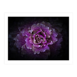 Backyard Flowers No 42 Color Version (Print Only) thumbnail