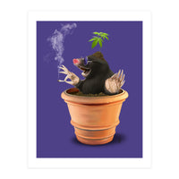 Pot (Colour) (Print Only)