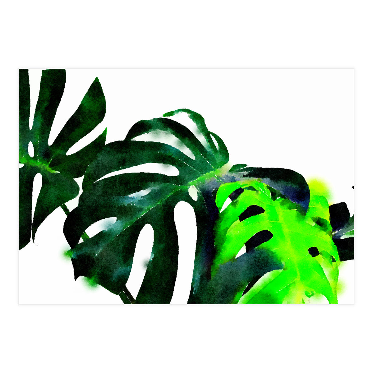 Fresh Leaves (Print Only)