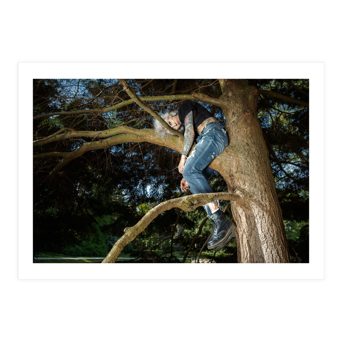 Tree Climber (Print Only)