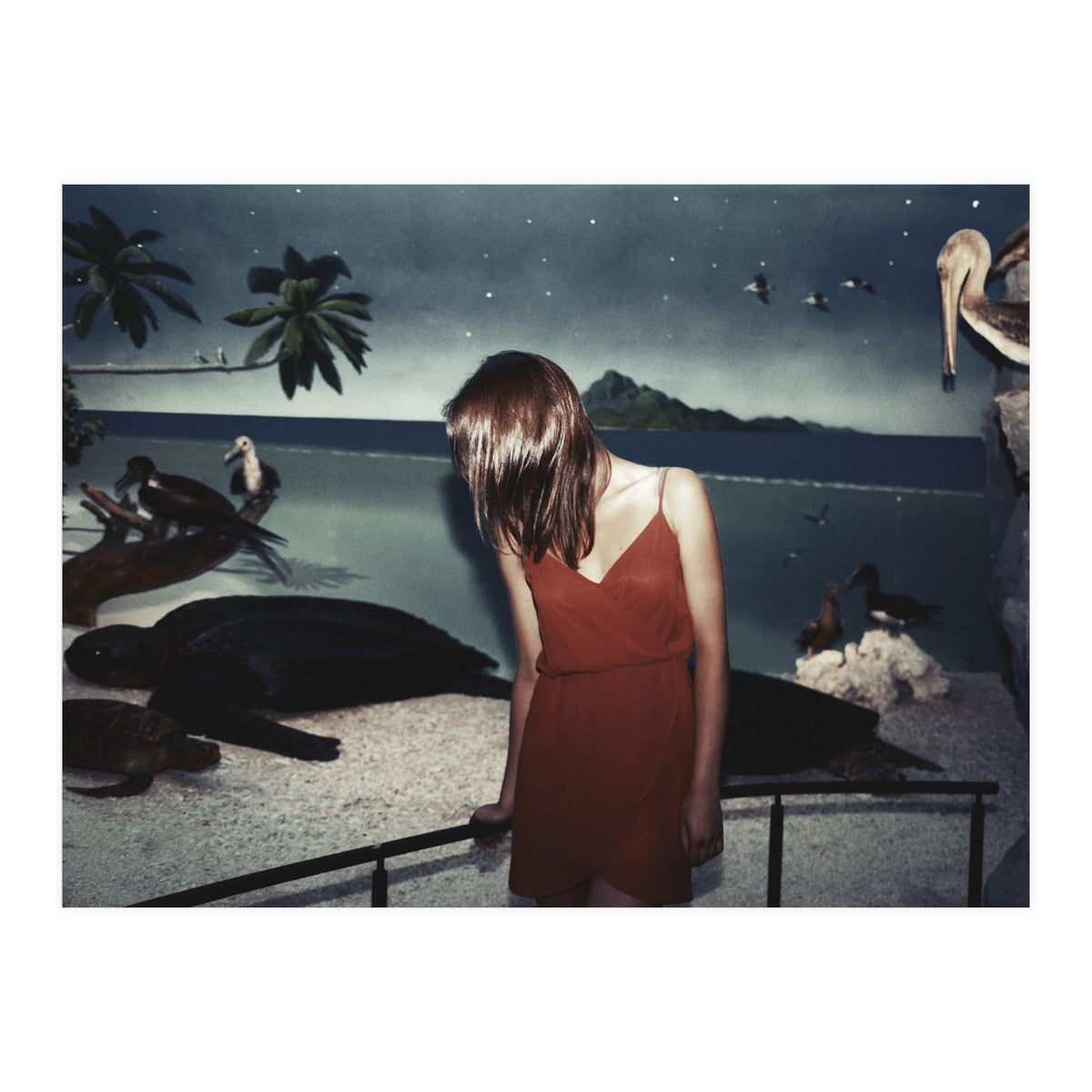 Galapagos (Print Only)