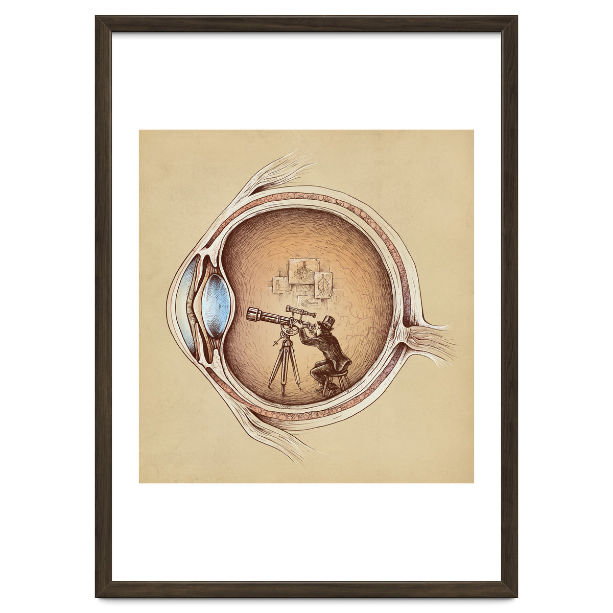 Extraordinary Observer