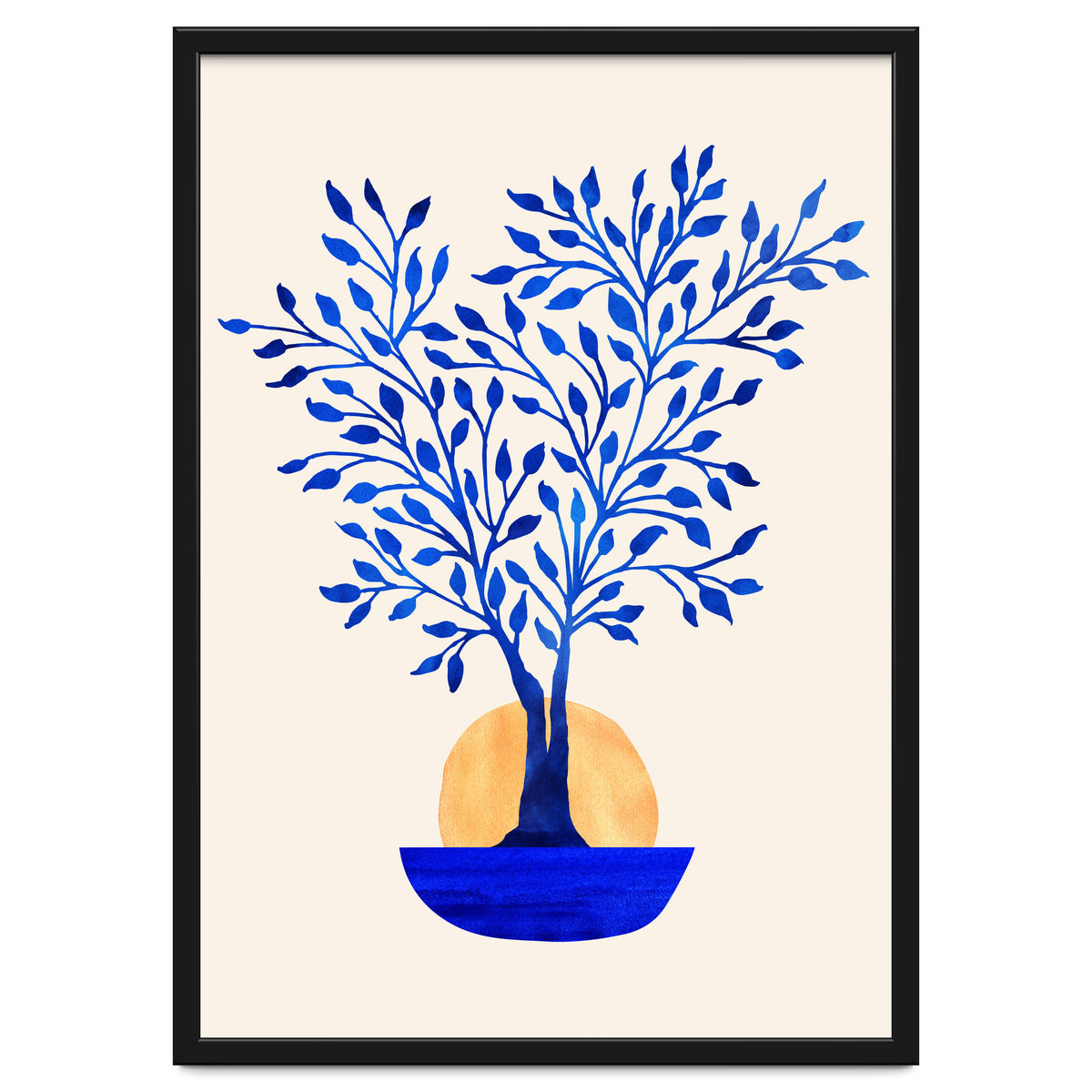 Indigo Ficus Sunrise