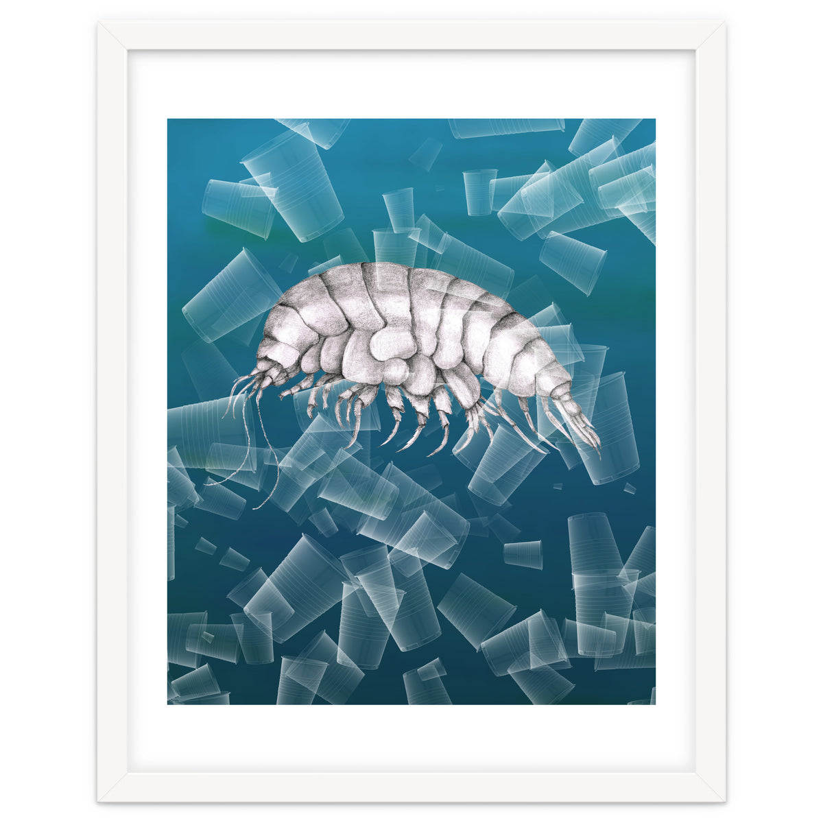 Eurythenes Plasticus