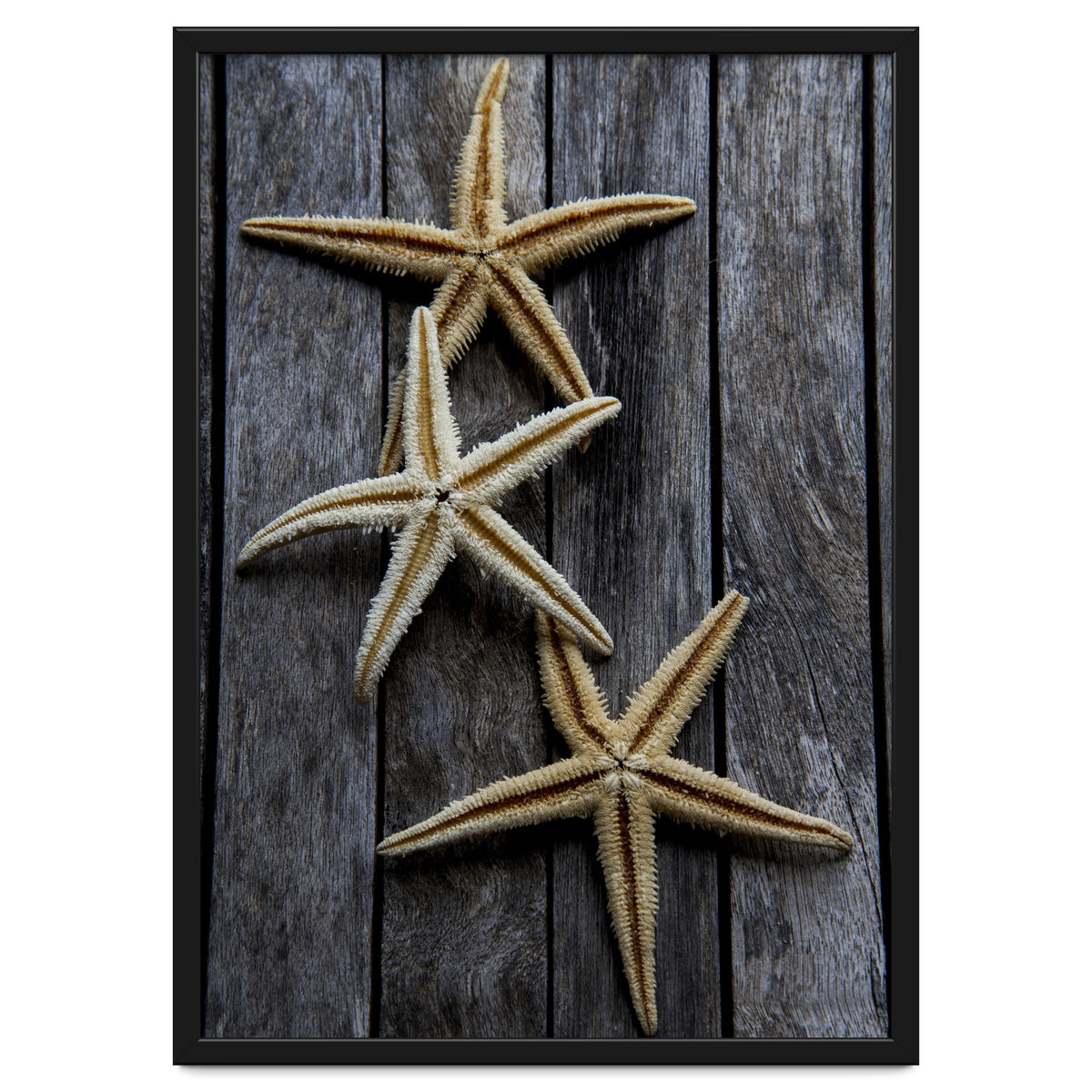 Starfishes in wooden