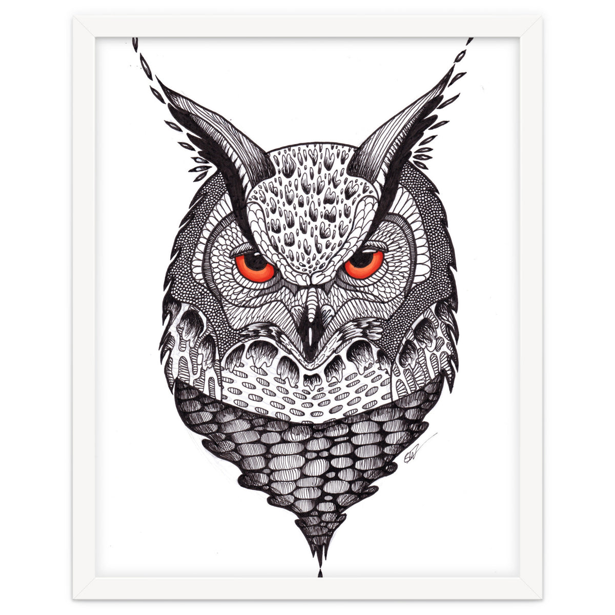 Owl