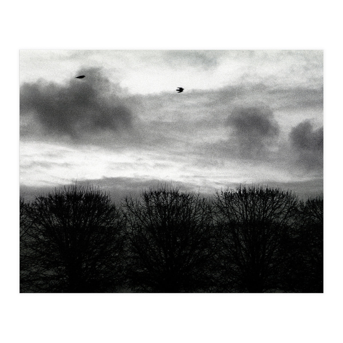 Winter mornig in Paris (Print Only)