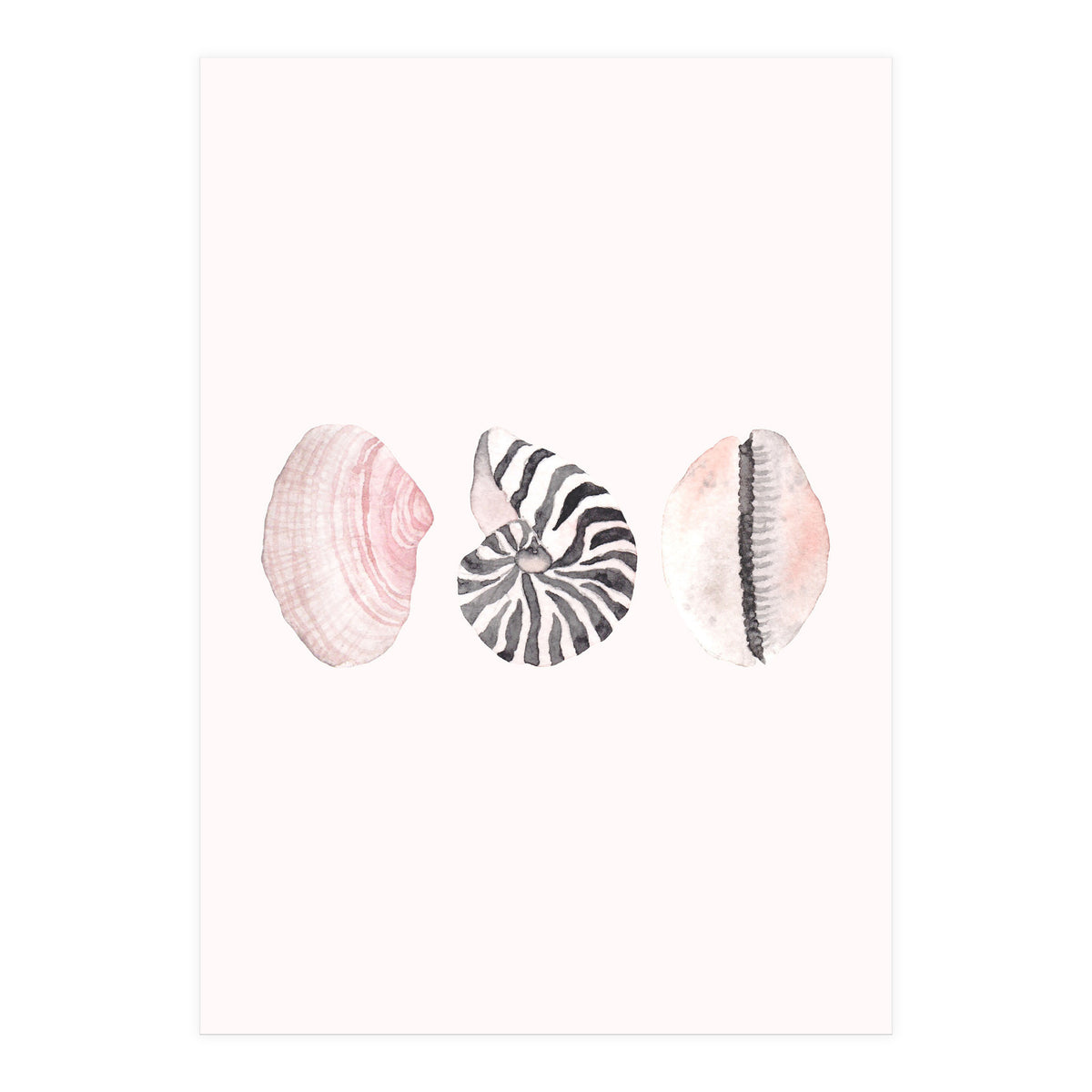 Seashells (Print Only)