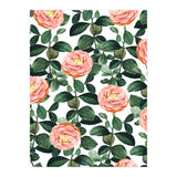 Josephine | Vintage Rose Garden Illustration | Bohemian Botanical Floral House Plants (Print Only) thumbnail