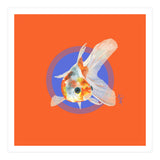 Koi Carp (Print Only) thumbnail