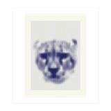 Lioness 2018 (Print Only) thumbnail