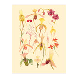 Orchids #3 (Print Only) thumbnail