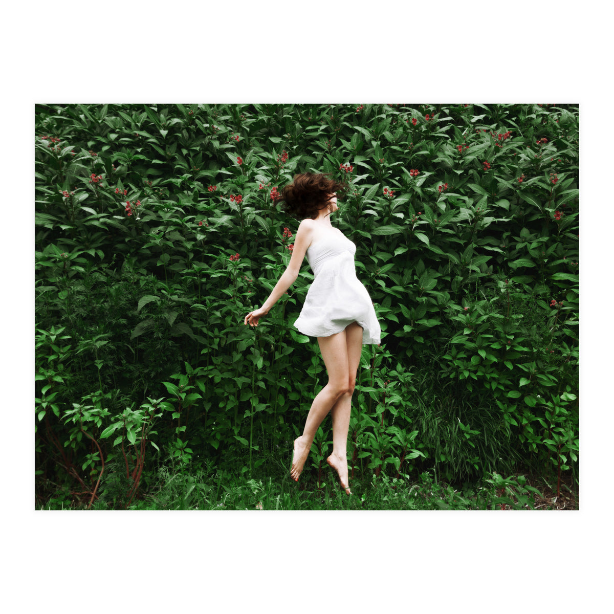 Greenfields (Print Only)