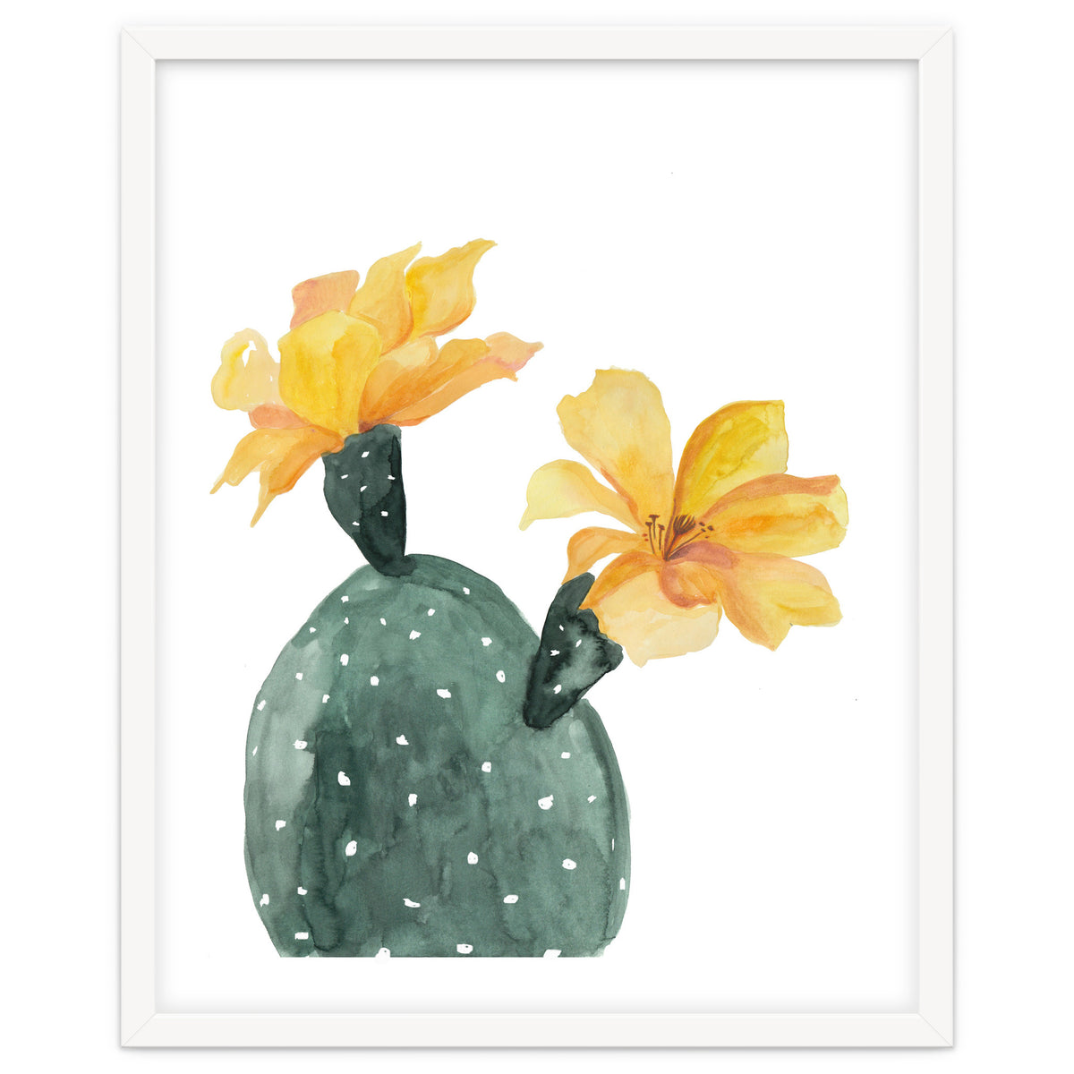 Botanical Illustration Yellow Cactus Flowers