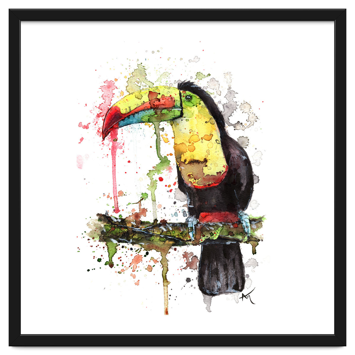 Toucan - Wildlife Collection
