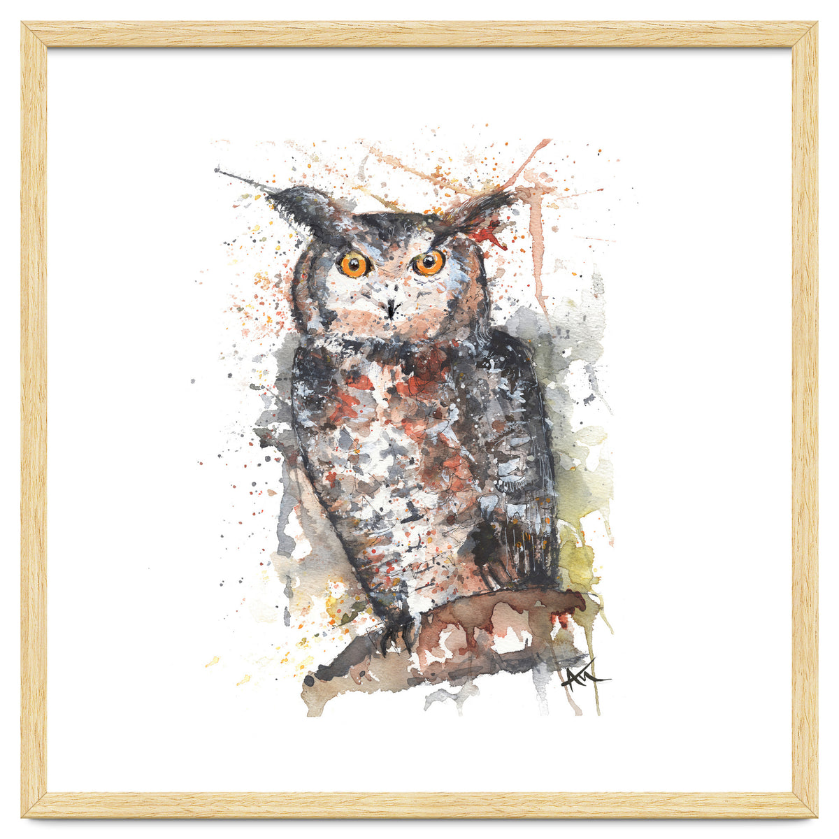 Owl - Wildlife Collection