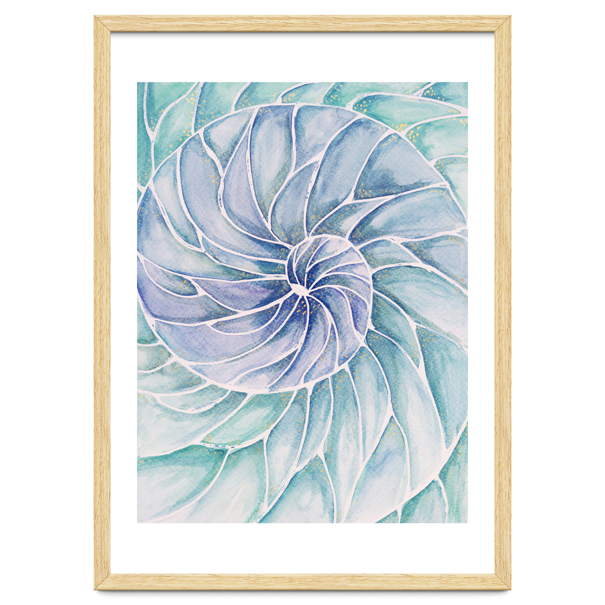 The inside of a shell