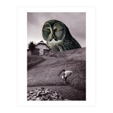 Nocturnal (Print Only) thumbnail