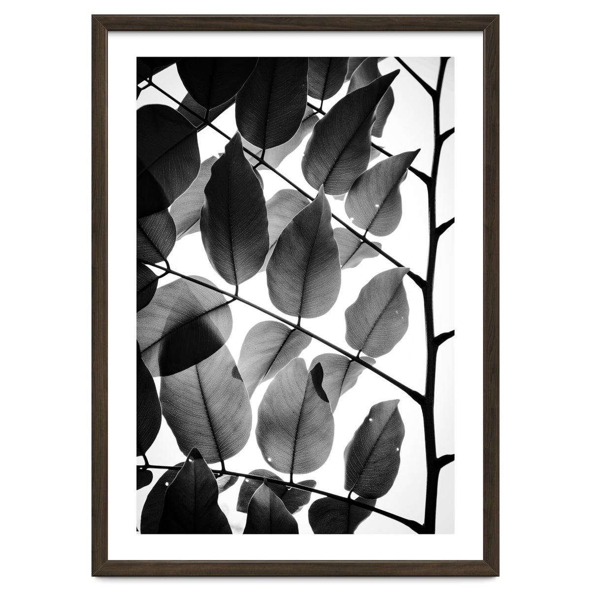 Branches and Leaves II