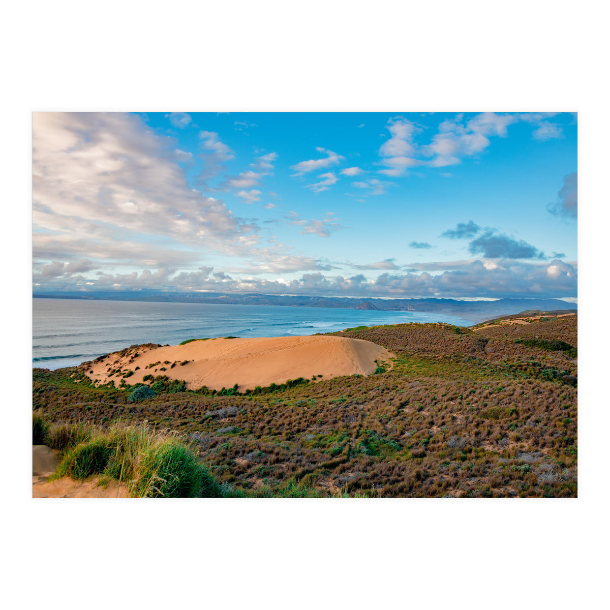 Coastal Sand Dune (Print Only)