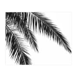 Palm Leaves (Print Only) thumbnail