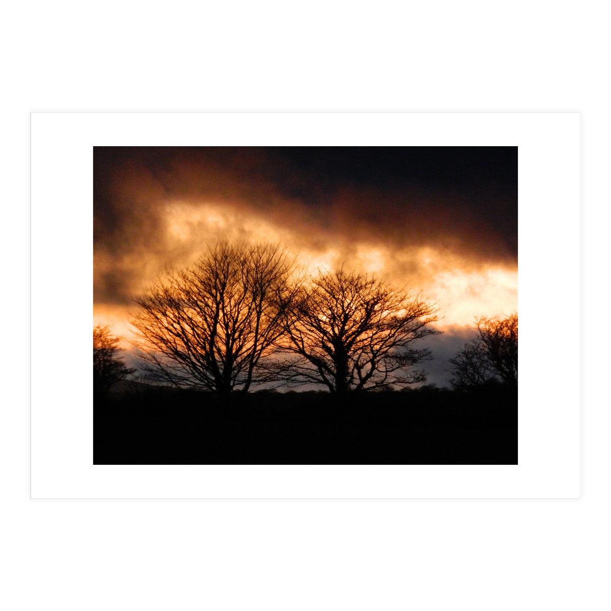 Spring Sunset (Print Only)