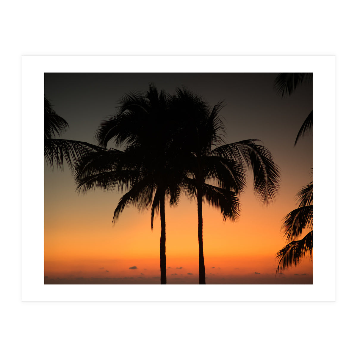 Mexico, November nights (Print Only)