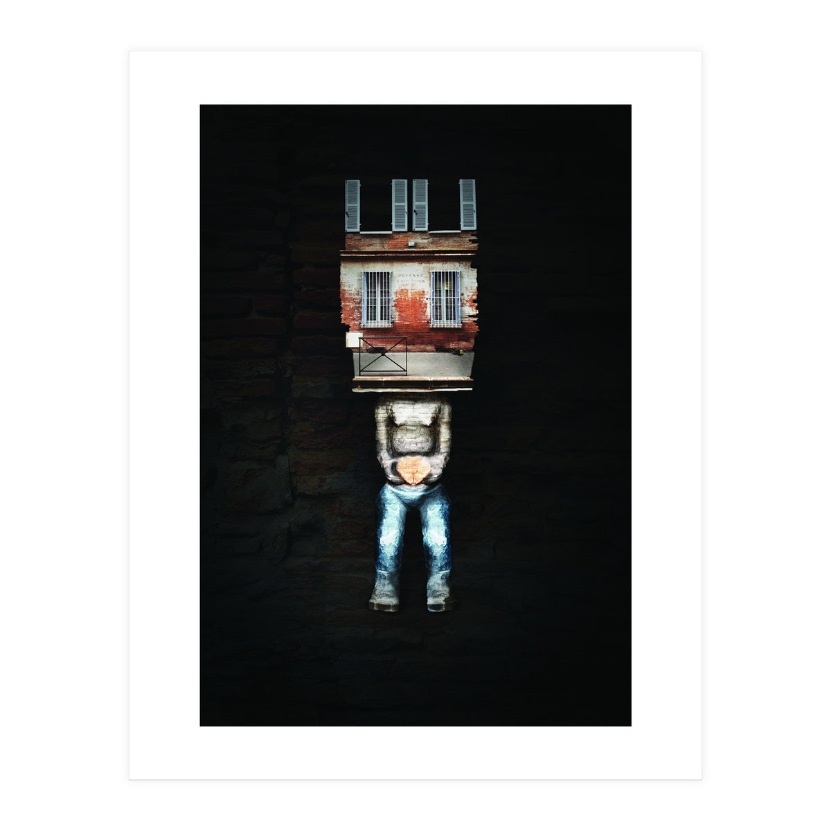 VooDooTooL - Anedo (Print Only)