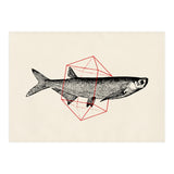 Fish In Geometrics II (Print Only) thumbnail