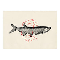 Fish In Geometrics II (Print Only)