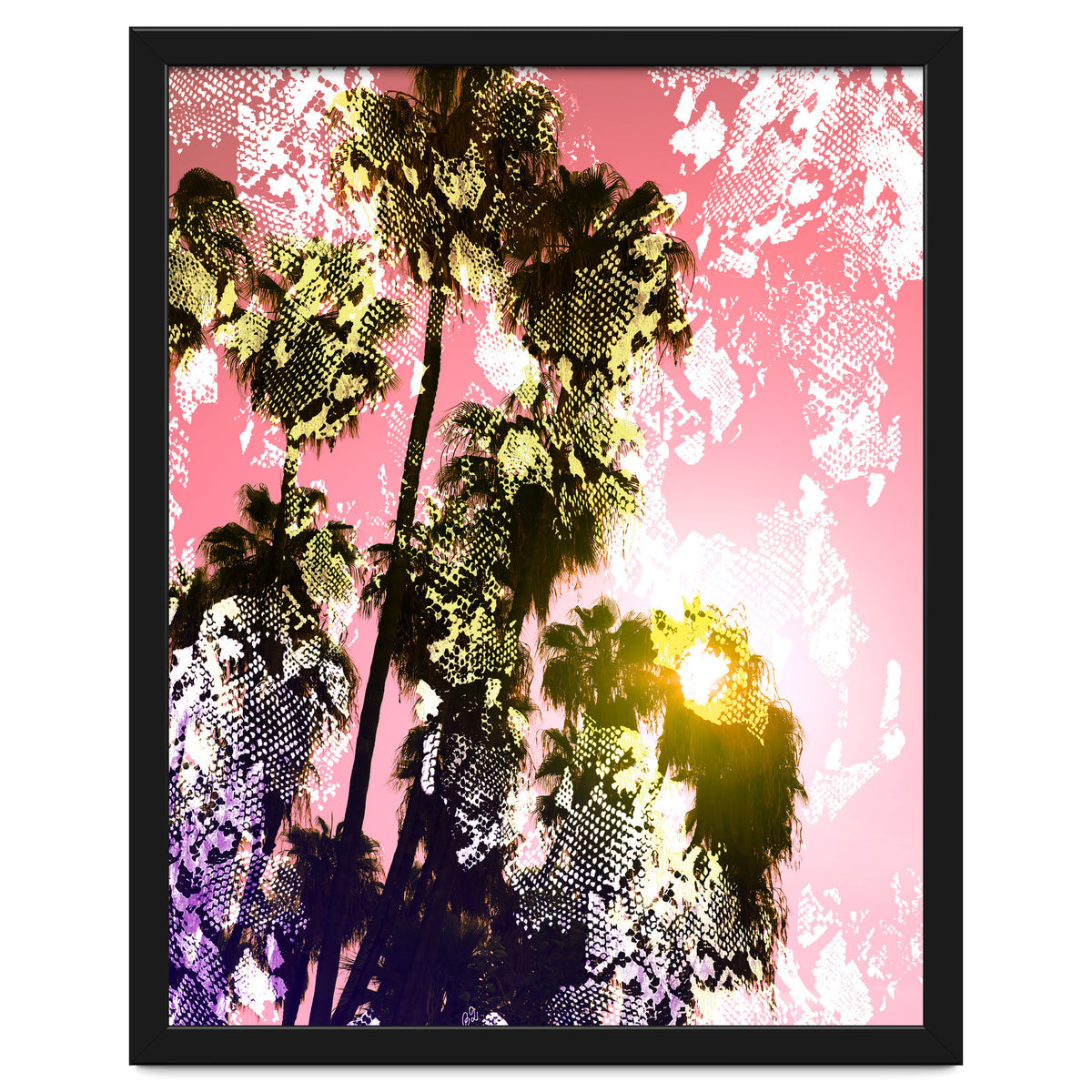 Snake sunset in paradise