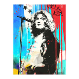 Robert Plant pop art poster (Print Only) thumbnail