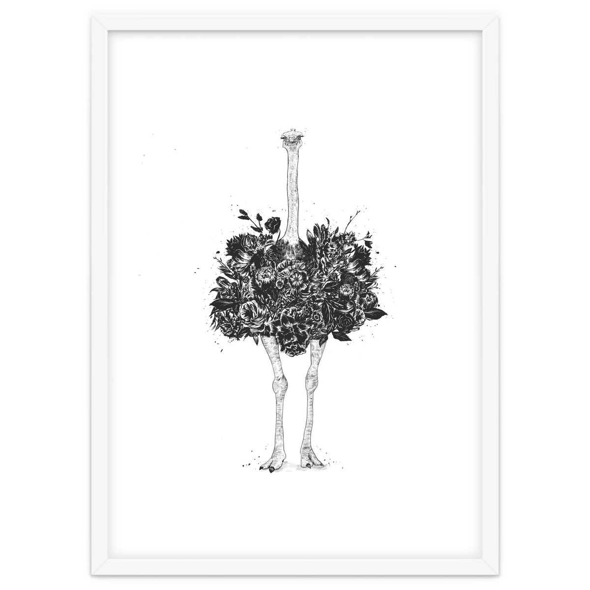 Floral Ostrich