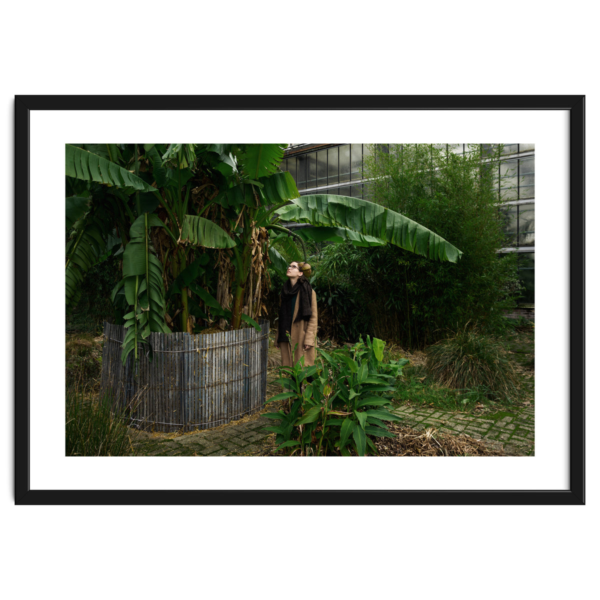 Transition from Summer to Winter