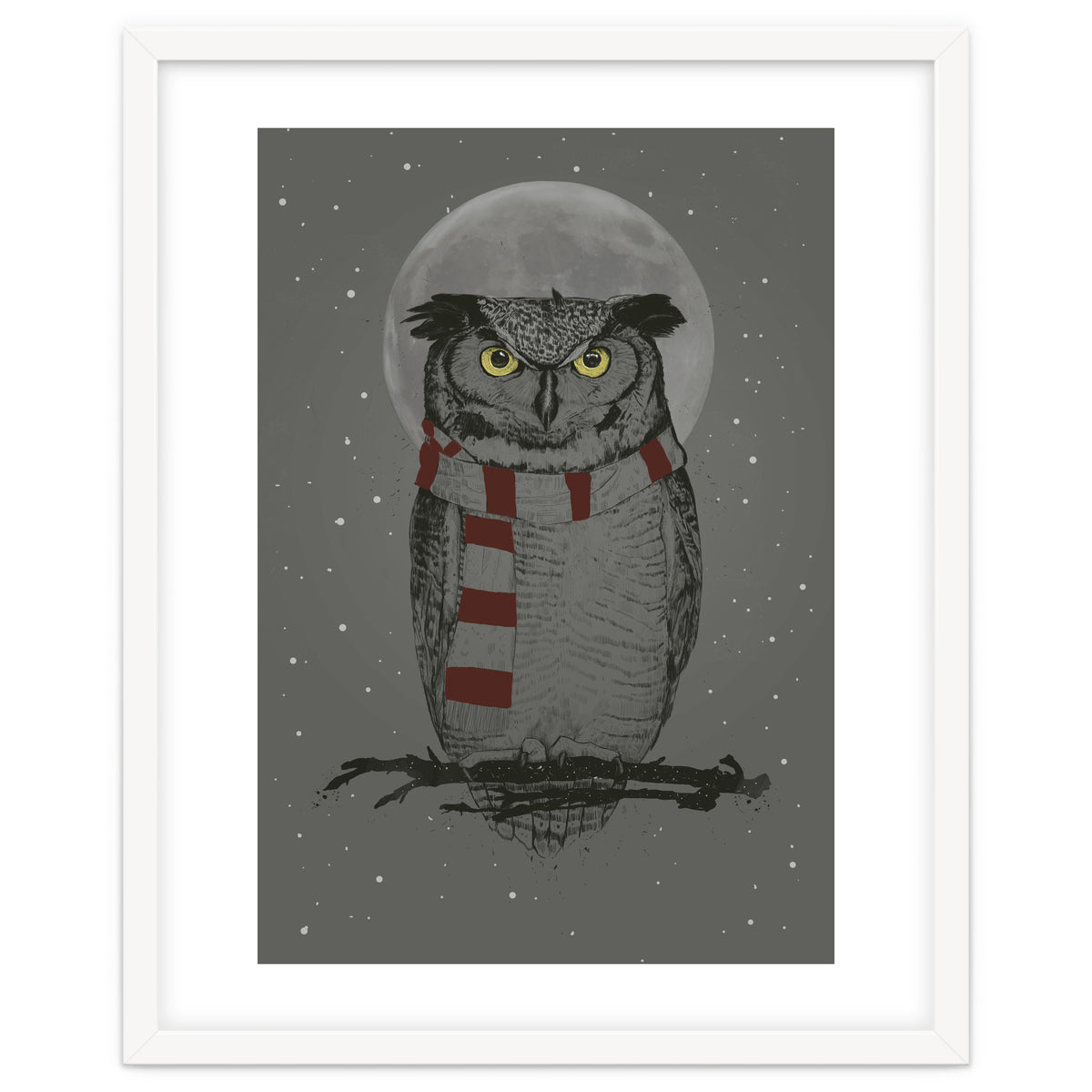 Winter Owl