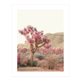 Boho Joshua Tree Cactus (Print Only) thumbnail