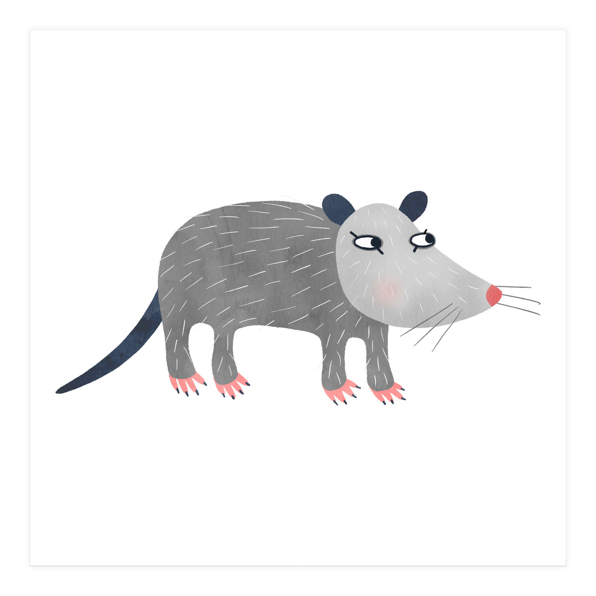 Possum (Print Only)