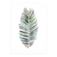 Botanical Illustration Cocos Palm (Print Only)
