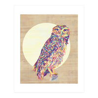 Owl (Print Only)