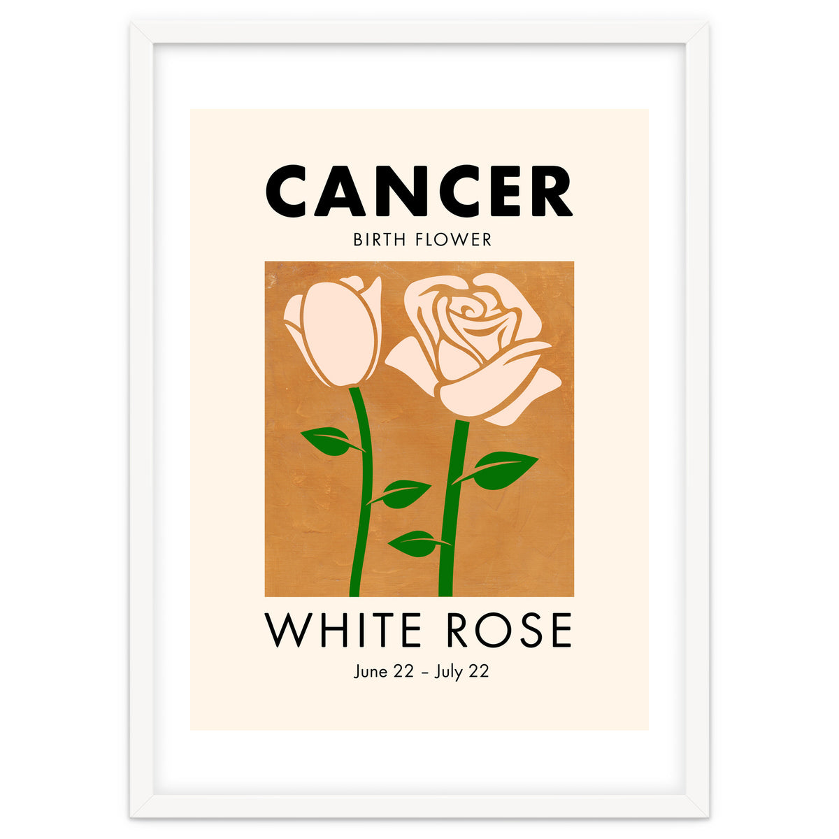 Cancer Birth Flower White Rose