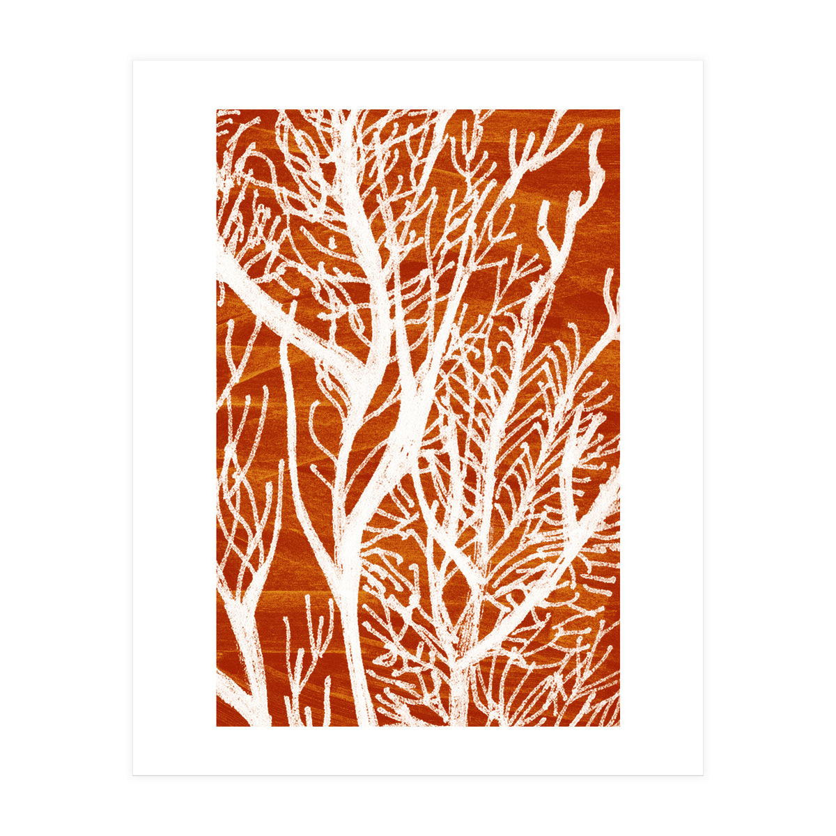 Desert Colours Collection 2 (Print Only)