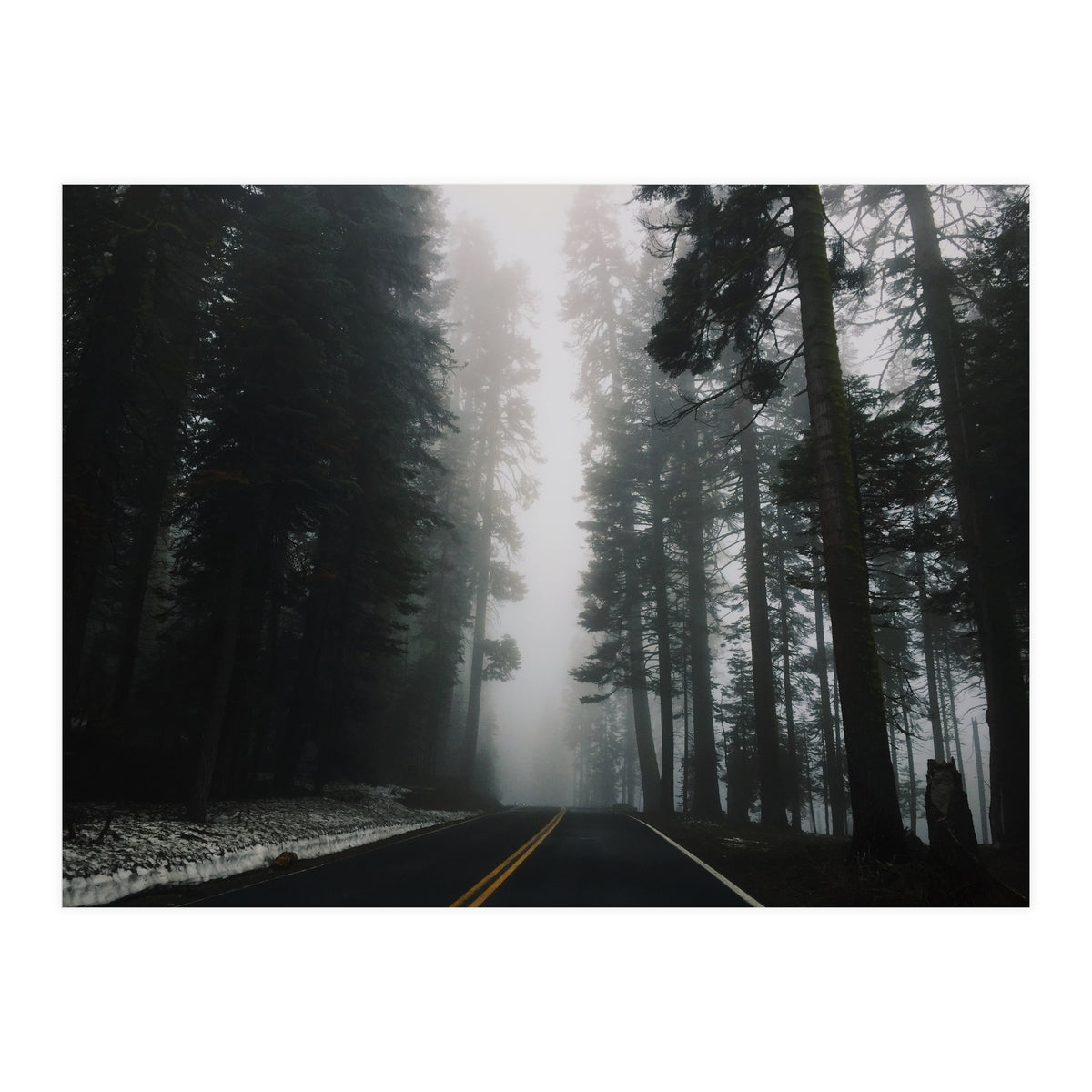 Foggy Yosemite (Print Only)