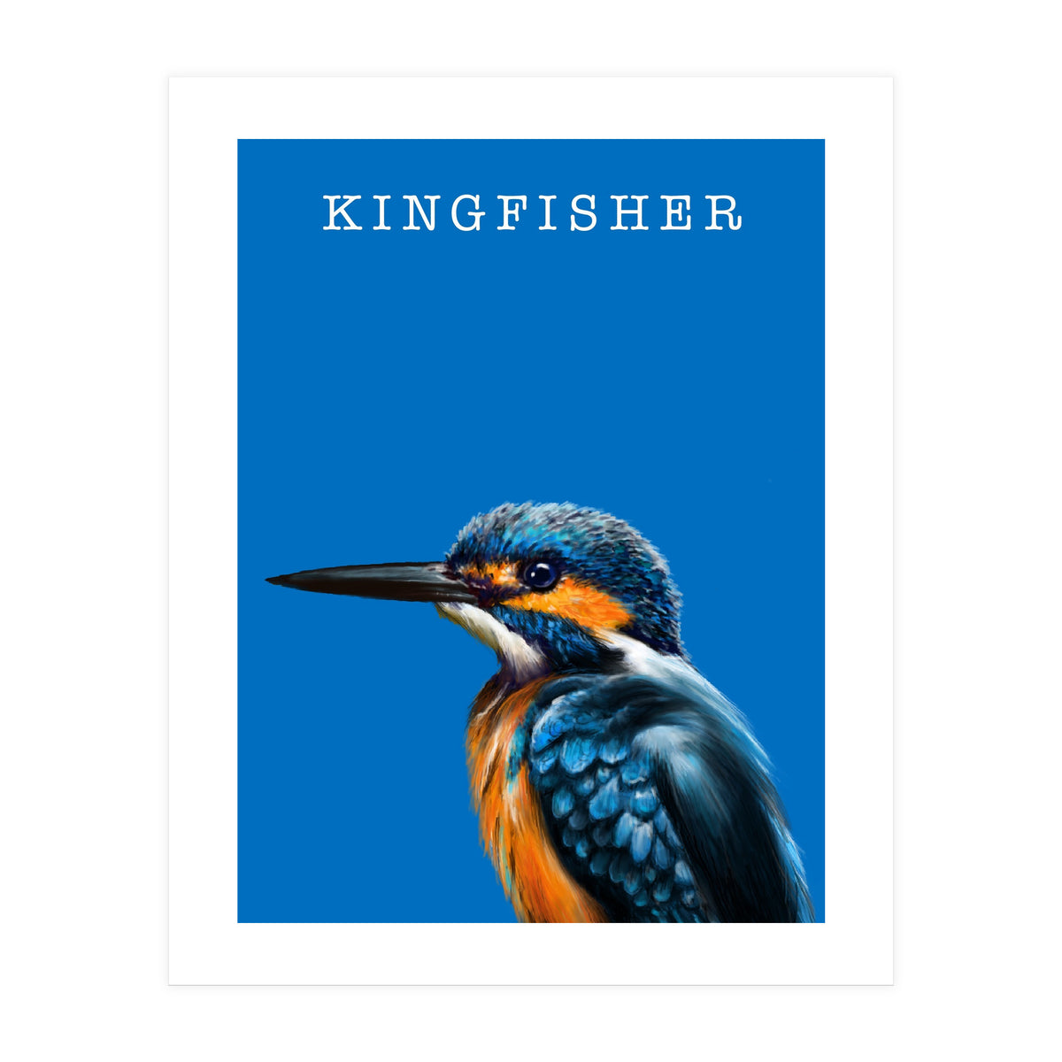 Kingfisher (Print Only)