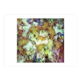 Scale (Print Only) thumbnail