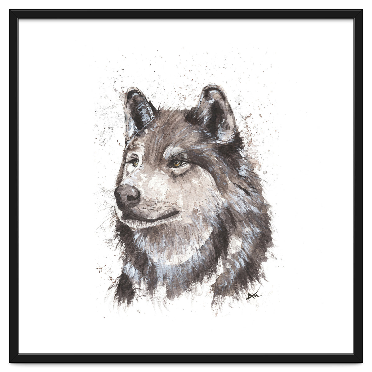 Wolf - Wildlife Collection